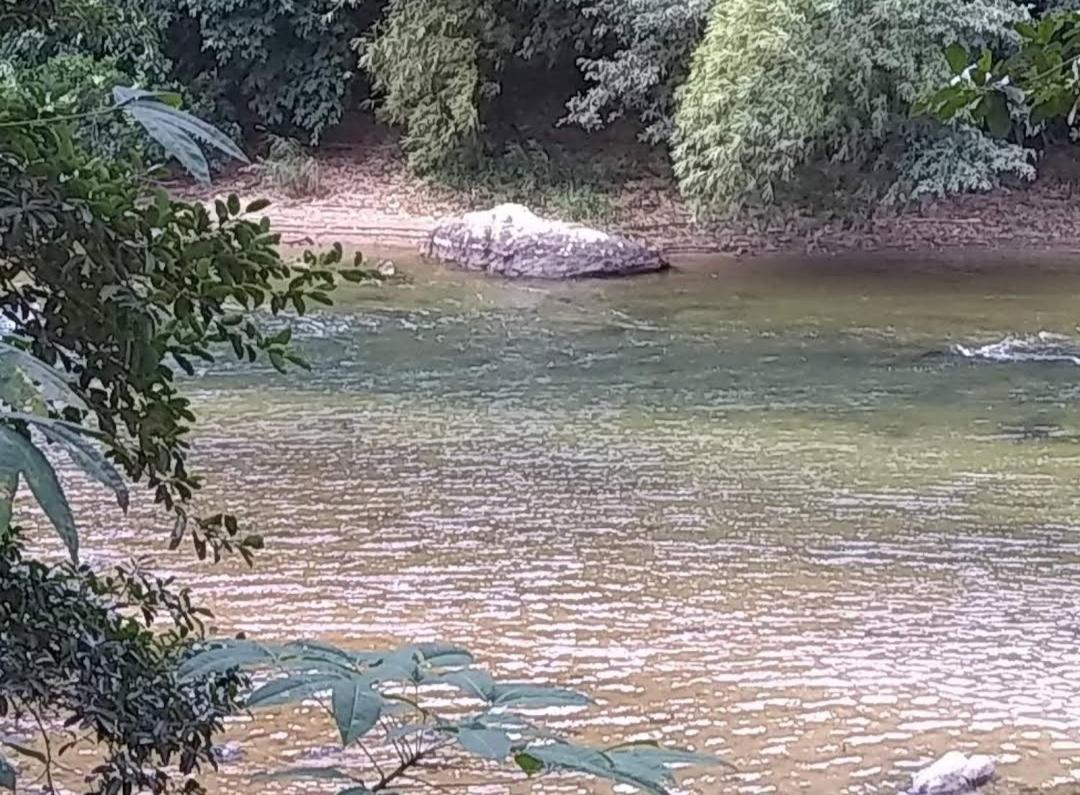 Serra Mar A Beira Rio , Rafting, Suites, Lofts, E Casas سانا المظهر الخارجي الصورة